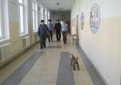 Красноярские школы проверили с металлодетекторами и собаками