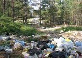 На несанкционированных свалках в крае установят видеокамеры