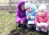 Красноярские первоклашки посадили именные кедры