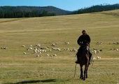 В Хакасии судили пастухов, изнасиловавших женщину
