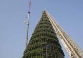 В Красноярске начали монтировать главную елку