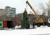 Новогоднюю елку в Красноярске будет охранять змея