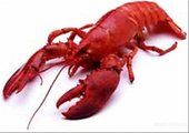 В Красноярск запретили привозить раков из Армении