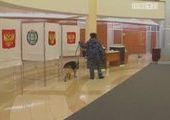 Избирательные участки Красноярска проверят служебные собаки