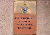 В Емельяновском районе Красноярского края погиб ребенок