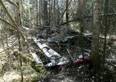 Названы предварительные причины падения самолета Ан – 2 в Красноярском крае