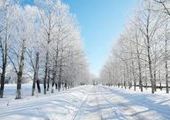В Красноярск на неделю придет зима