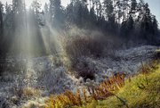 Зима опаздывает в Красноярск еще на неделю