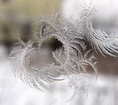 Морозы в Красноярске начали слабеть