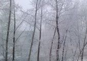 Погода на эту неделю в Красноярске