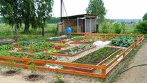 В Красноярске раздают землю под огороды всем желающим