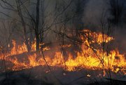 На территории Красноярского края зарегистрированы десять лесных пожаров