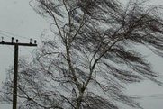 Шквалистый ветер и метель ожидаются в Красноярском крае