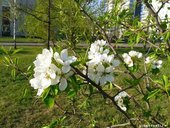 Погода на выходные дни порадует красноярцев