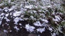 В минувшие выходные под Красноярском местами выпал снег