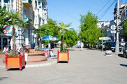 Пальмы с улиц Красноярска переезжают в теплые квартиры