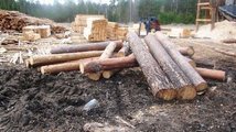 Китаянка незаконно вывезла лес на 20 млн. рублей.