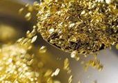 Излишки золота найдены в Туве
