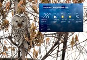 Морозы в Красноярске продержатся еще несколько дней - прогноз погоды